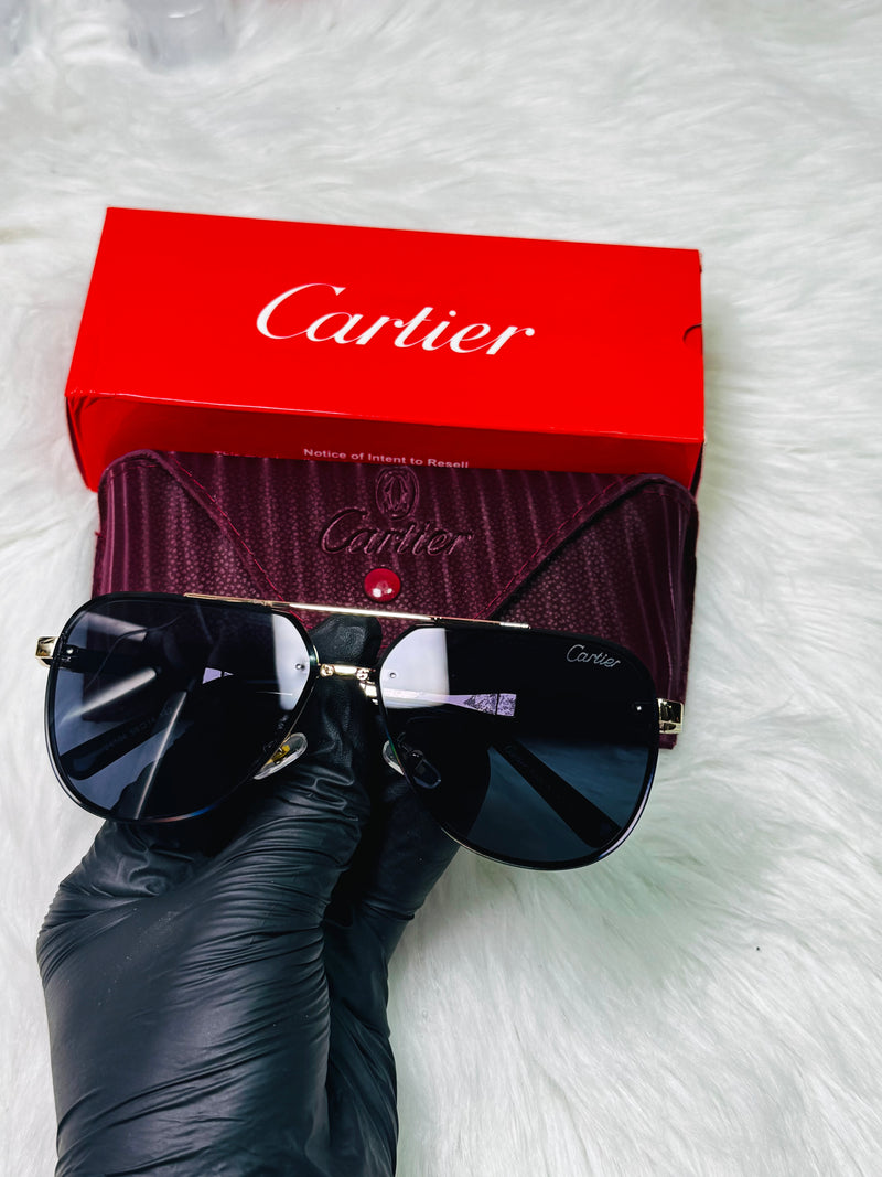 PREMIUM LUXURY SUNGLASSES FOR MEN